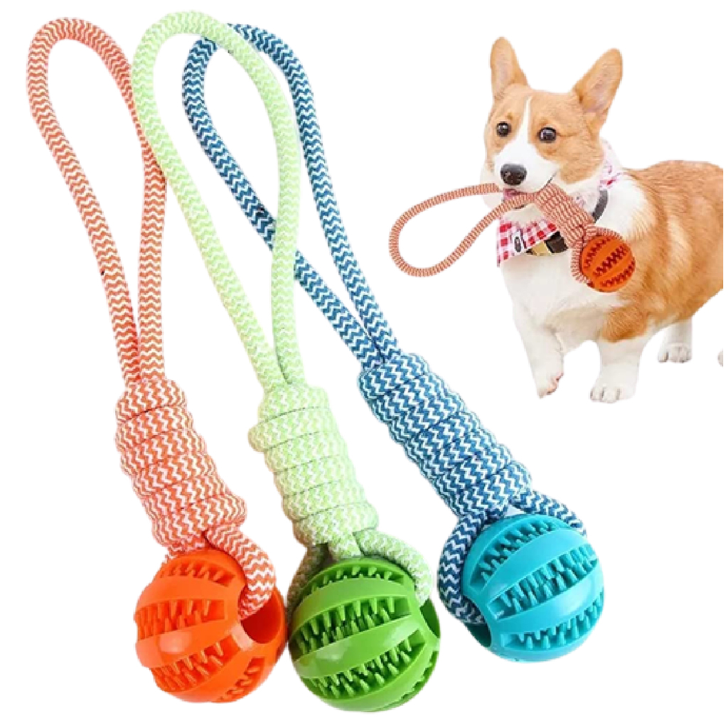 Foto de um brinquedo mordedor de corda colorida